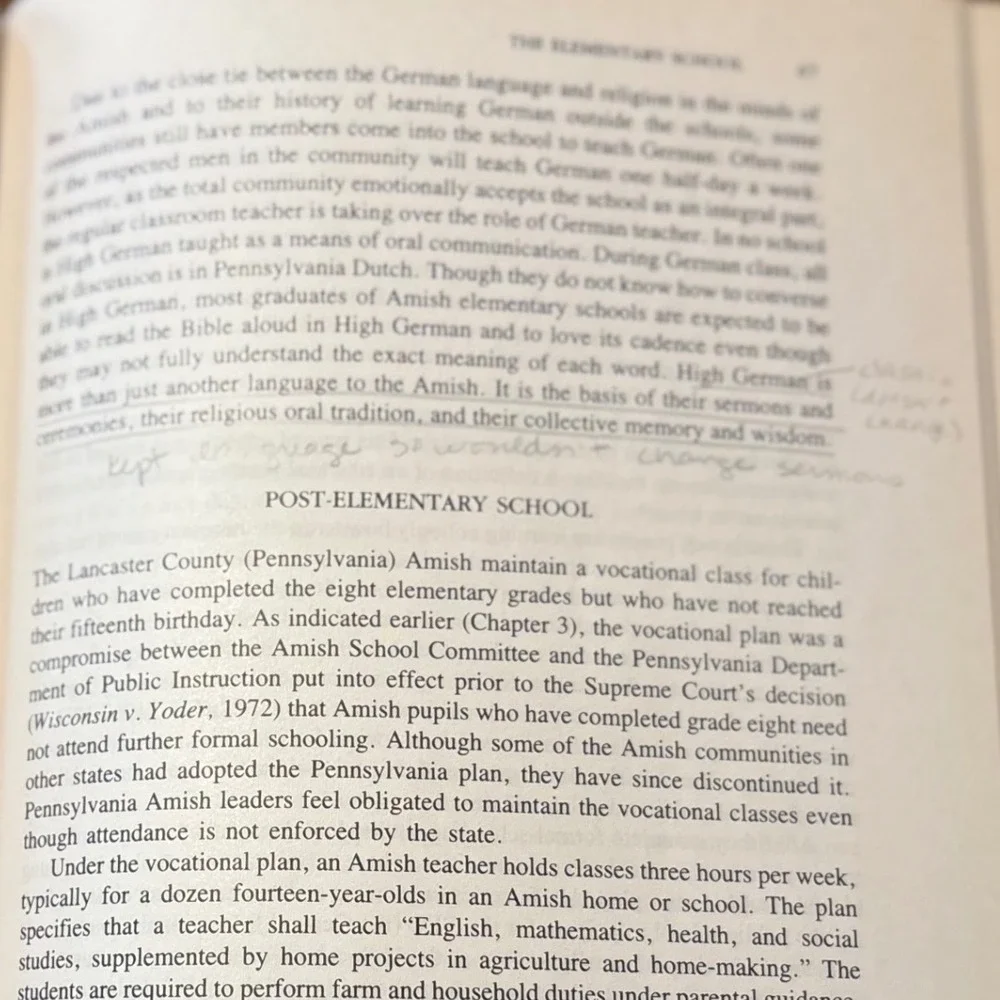 Amish Children Education Family School Community 2nd Ed Hostetler 1992 Sociology